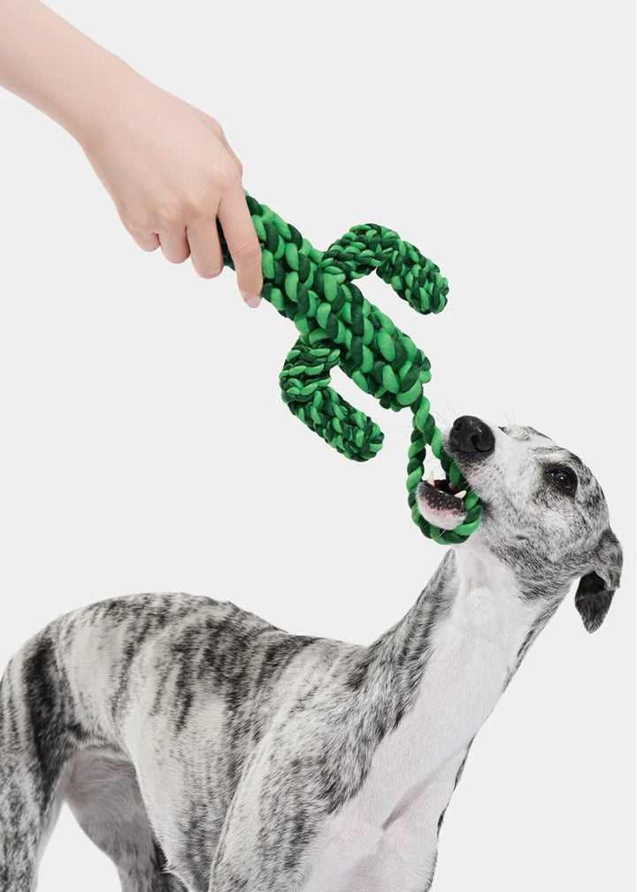 Oasis Cactus Knot Rope Toy