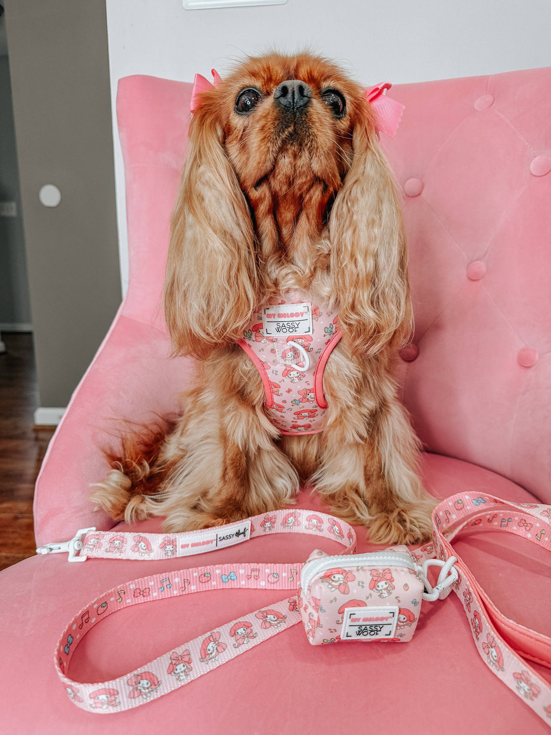 My Melody™ Adjustable Harness