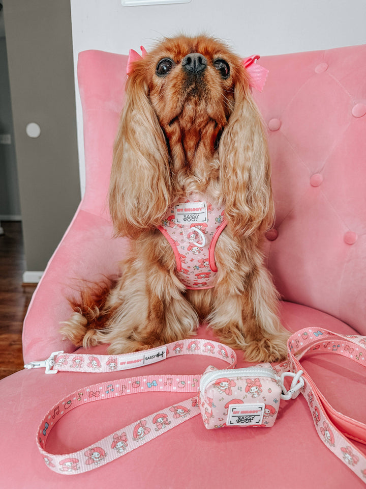 My Melody™ Adjustable Harness