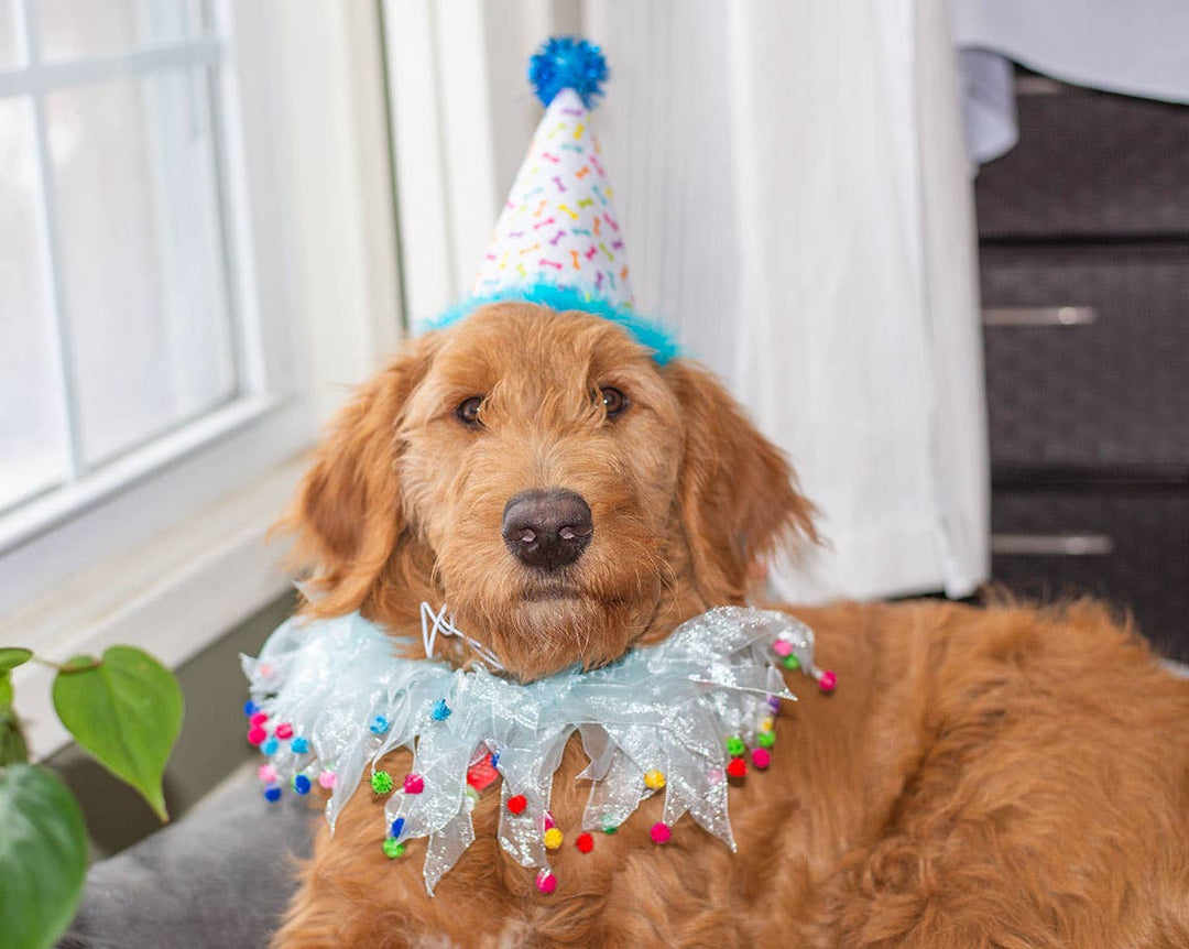 Party Pom Pom Collar Blue Small