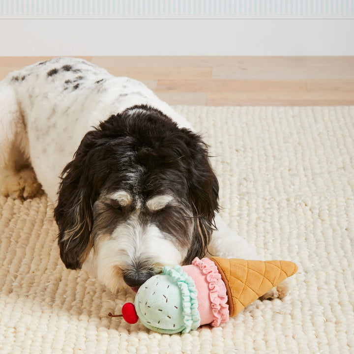 Ice Cream Interactive 2-in-1 Bounce Dog Toy