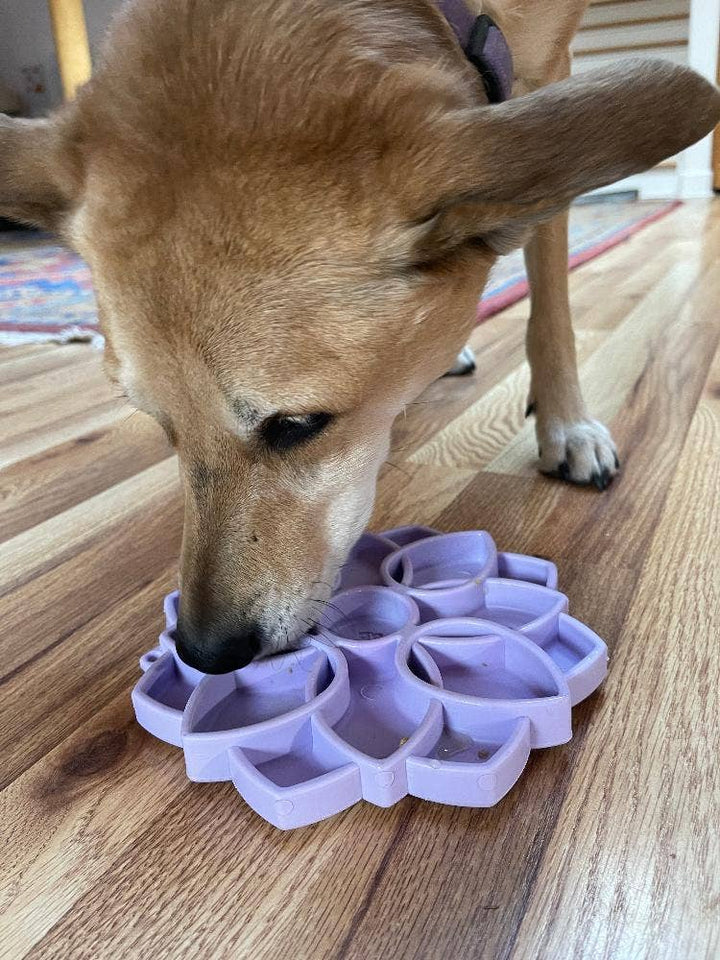 Mandala "Softie" eTray Enrichment Tray