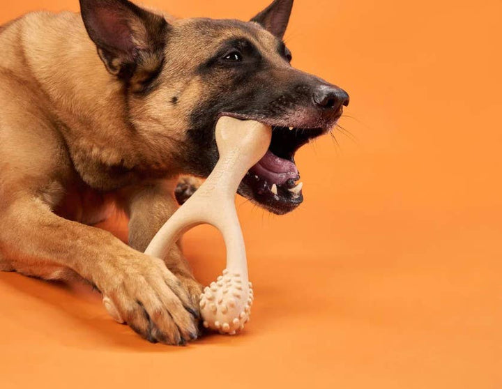 Hard Beef Dog Chew Toy Large
