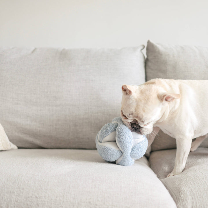 Monti Enrichment Dog Toy