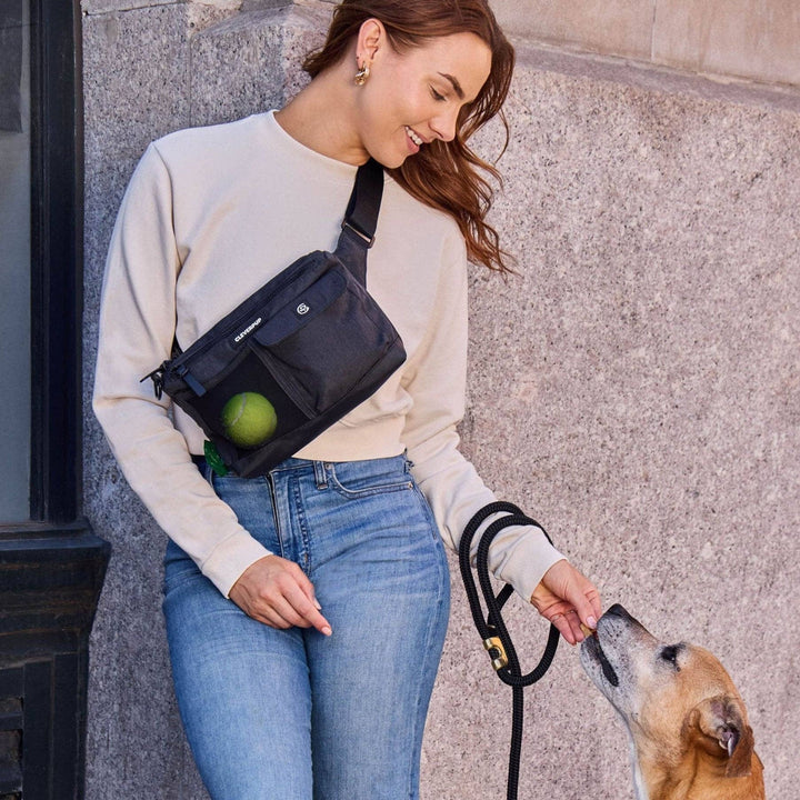 Dog Walk &amp; Train Sling Bag