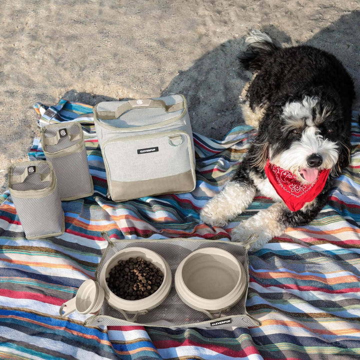 Bistro Box Dog Food Travel Kit