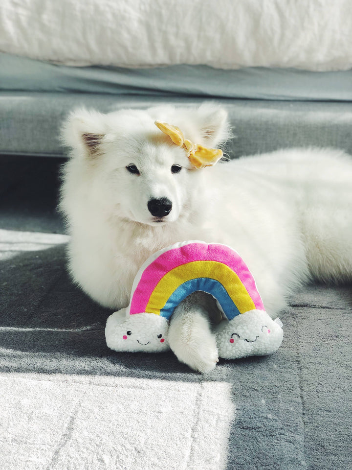 Squeakie Pattiez Rainbow Dog Toy