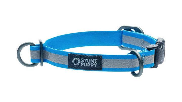 Collar Go Dog Glo Dry