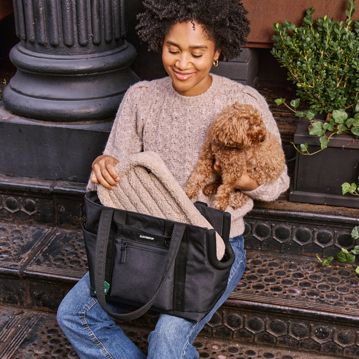 Transit Tote Dog Carrier