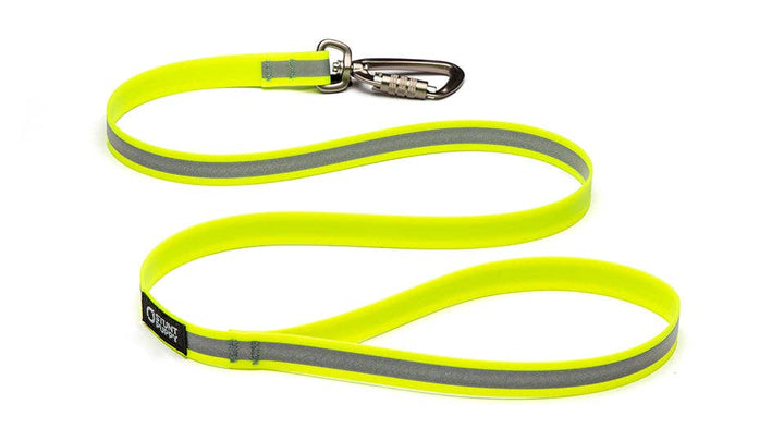 Dry Leash Go Dog Glo™