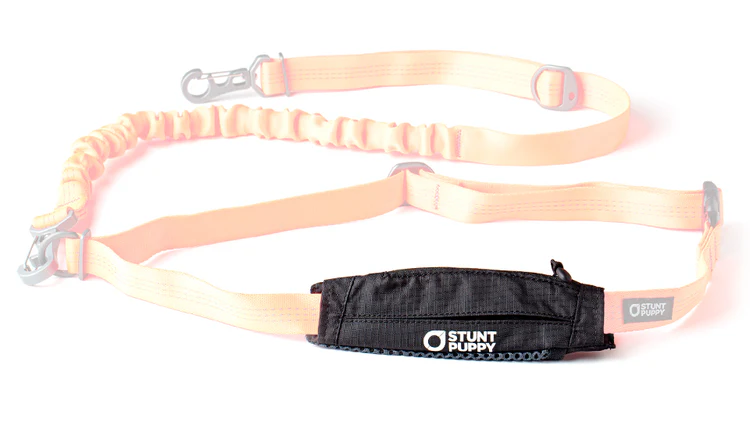 Leash Stash Pocket