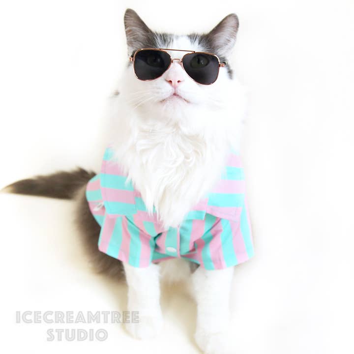 Ken Inspired Outfit with Shirt and Sunglasses