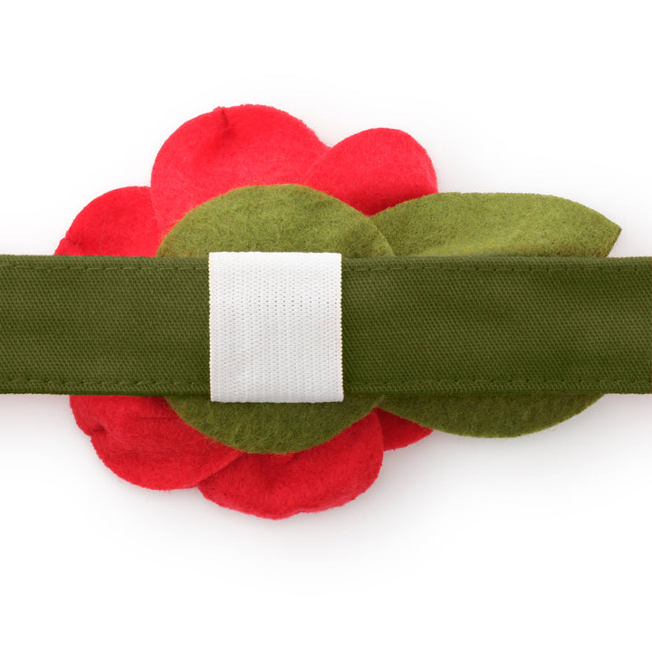 Red Rose Dog Collar Flower
