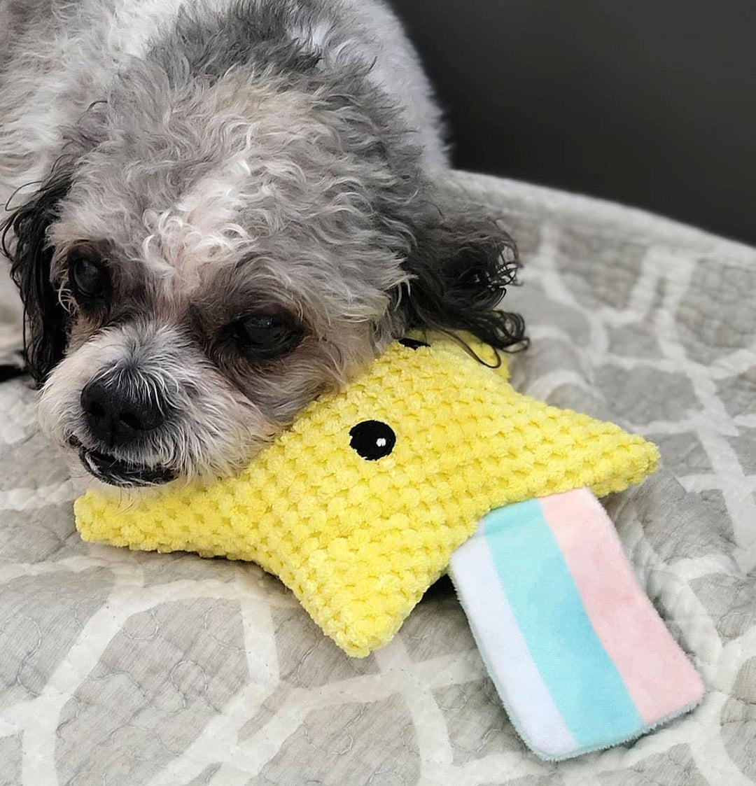Shooting Star Plush Dog Toy 8"