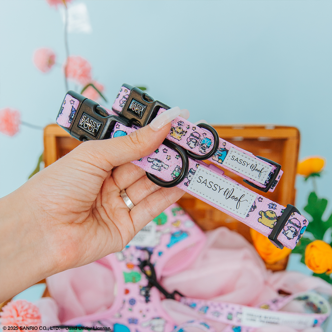 Hello Kitty® &amp; Friends Flower Festival Collar