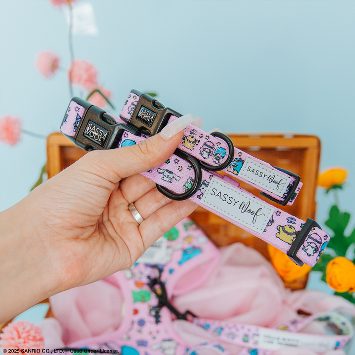 Hello Kitty® &amp; Friends Flower Festival Collar