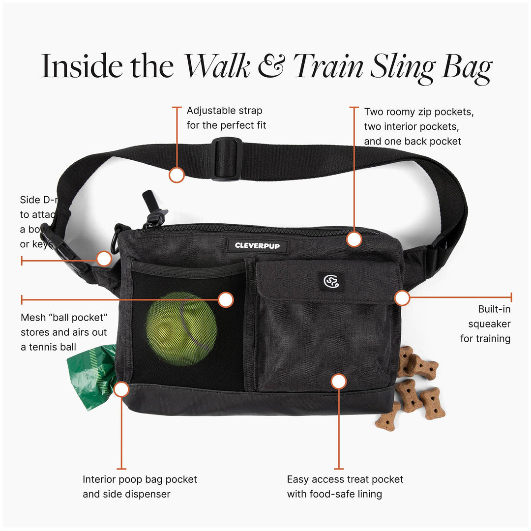 Dog Walk &amp; Train Sling Bag