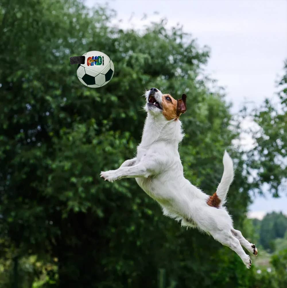 2026 FIFA World Cup Soccer Ball Pet Toy