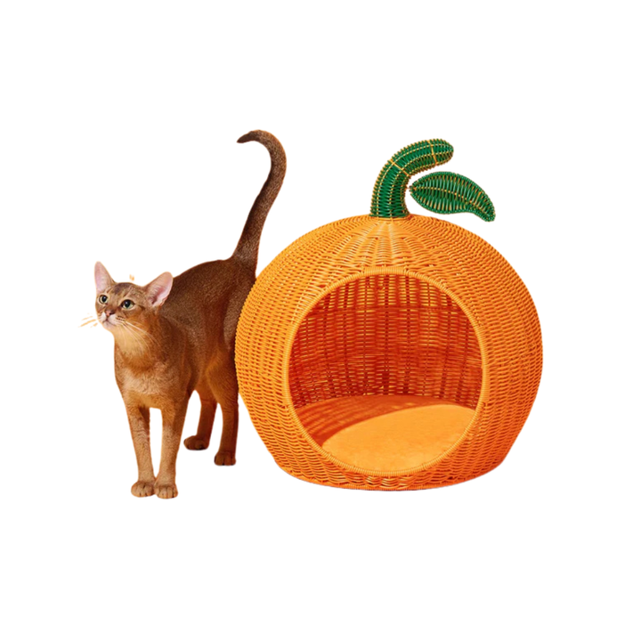 Tangerine Rattan Pet Bed