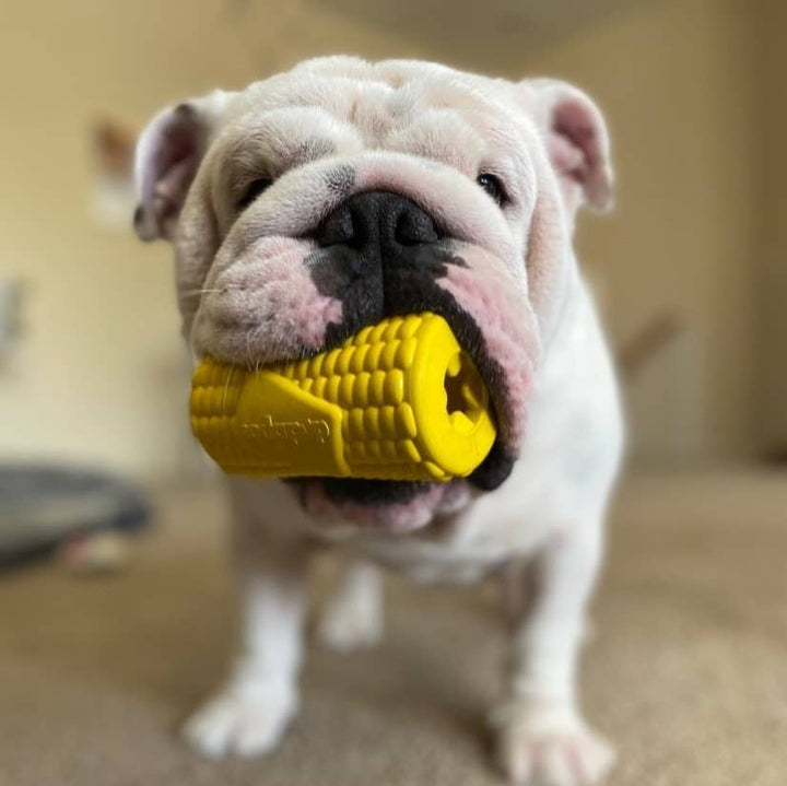 Corn on the Cob Treat Dispenser