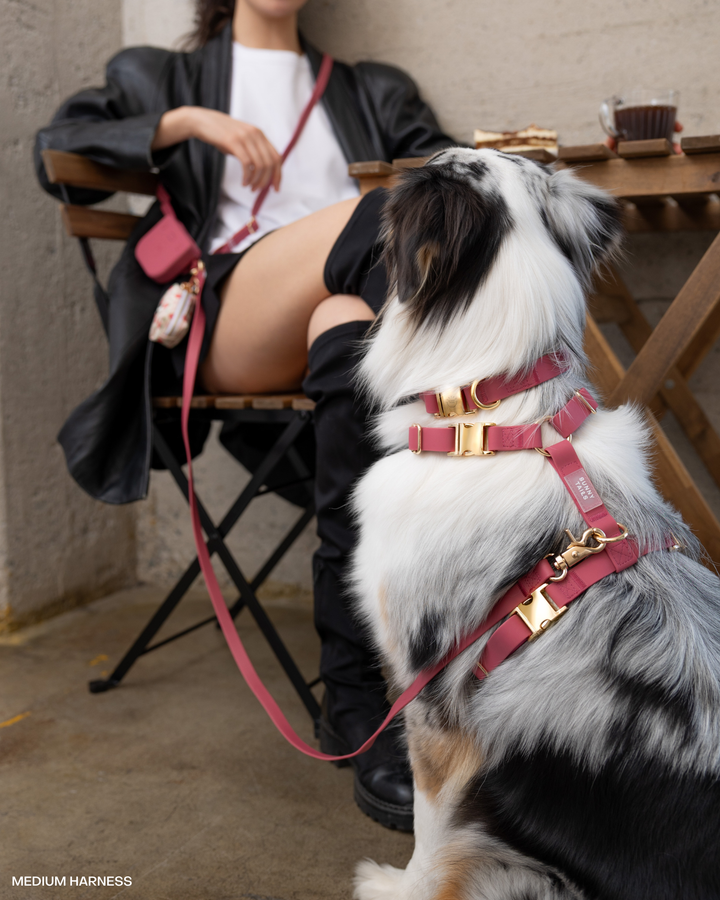 Mulberry Snap Dog Treat Pouch