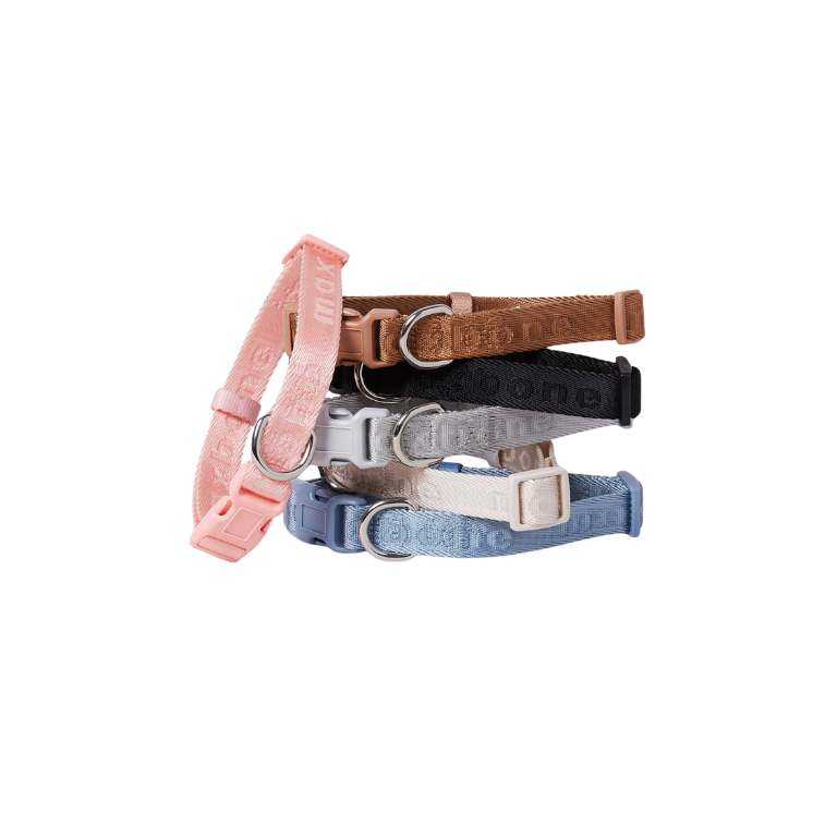 Signature Collar for Dogs