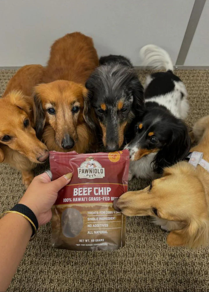 Beef Chip