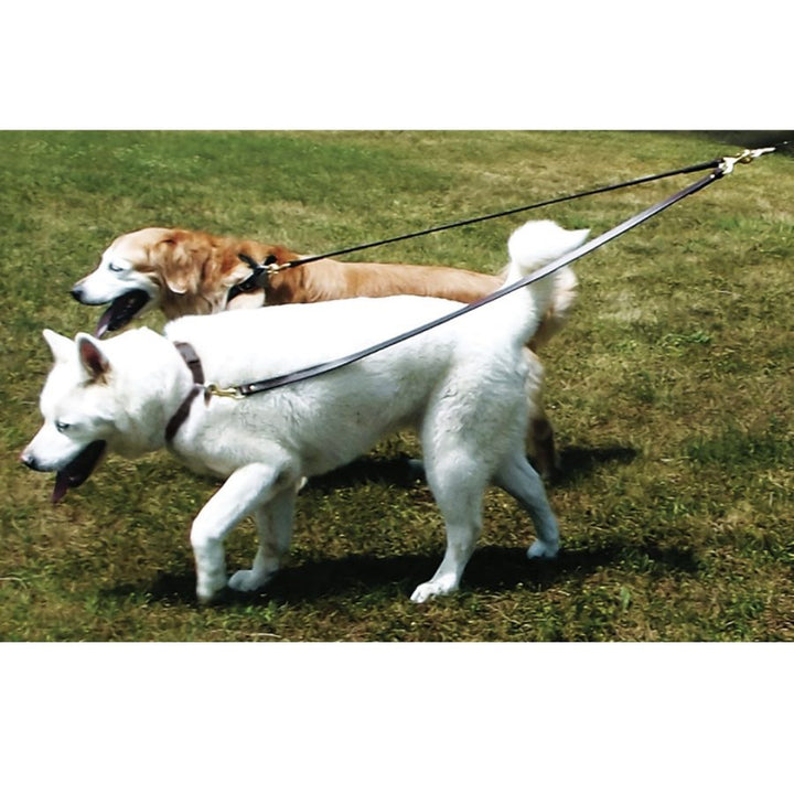 Nylon Two Dog Walker / No Tangle Leash