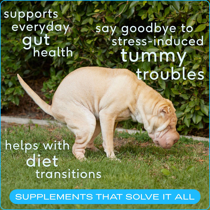 Probiotic &amp; Prebiotic Powder Vet-Formulated Supplement