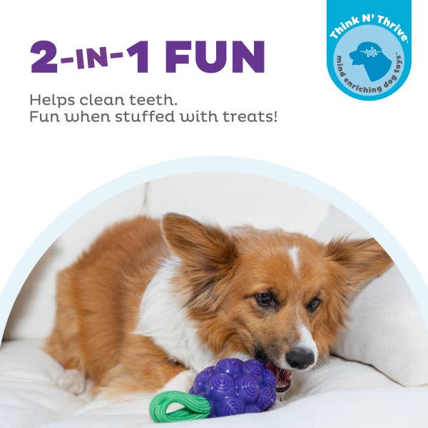 Dental Grapes Dog Chew Toy Purple, Medium