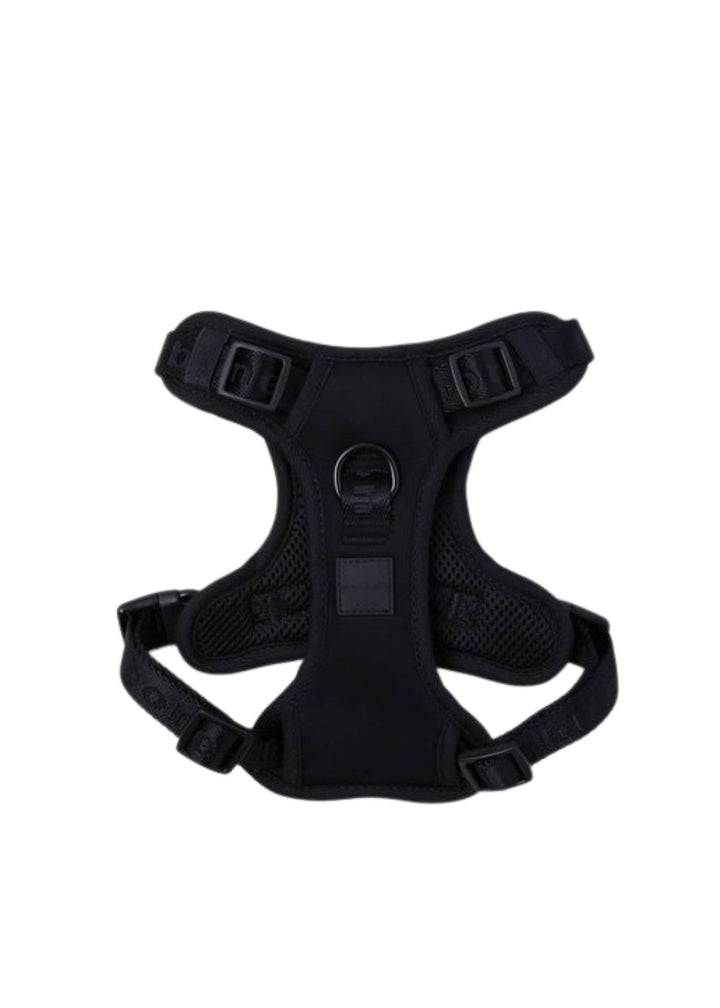 Harness Easy Fit for Dogs