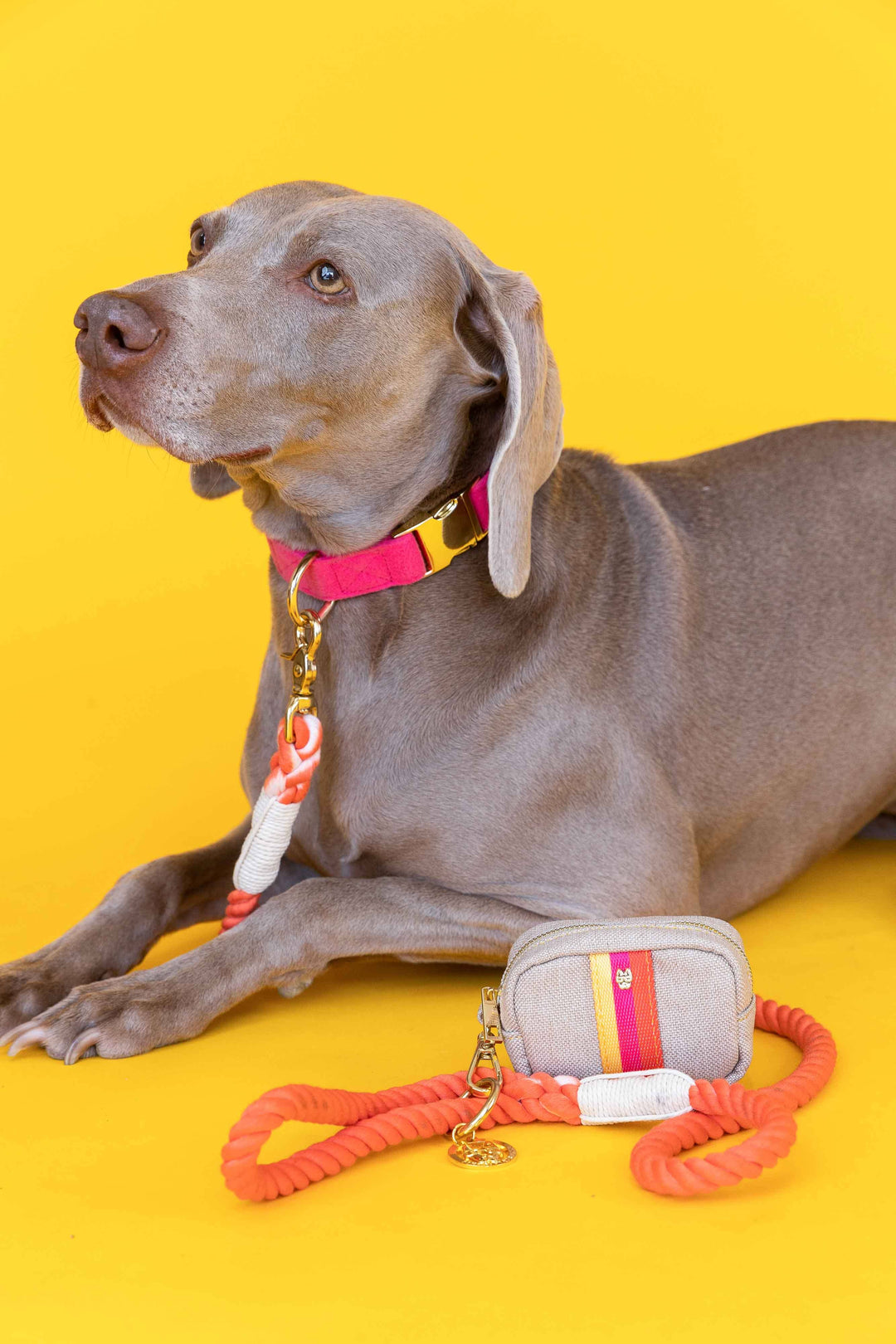 Coral/Orange Rope Leash