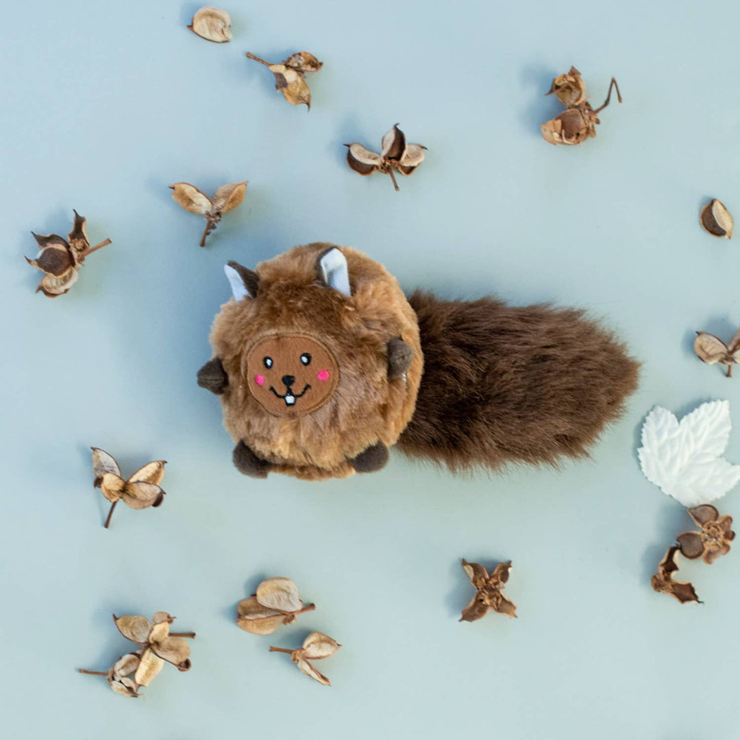 Bushy Throw Squirrel Dog Toy