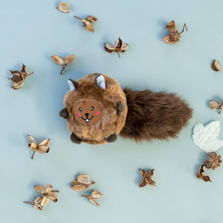 Bushy Throw Squirrel Dog Toy