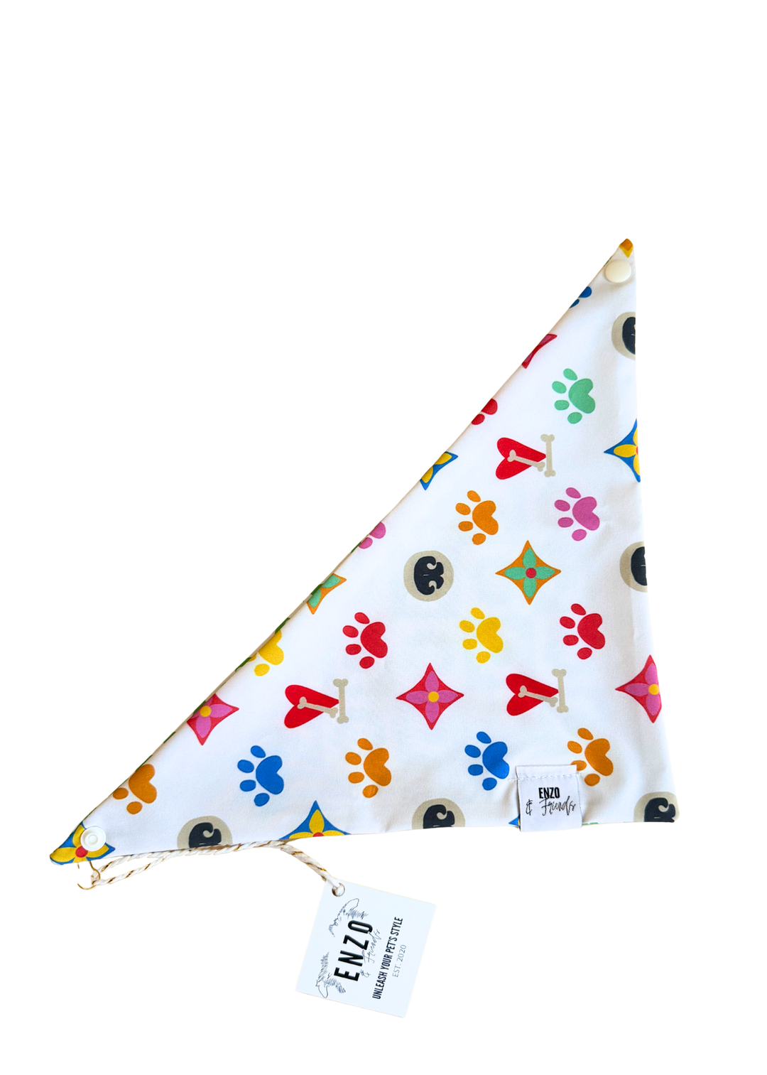 Enzo Green Happy Face + Multicolor Luxe Bandana