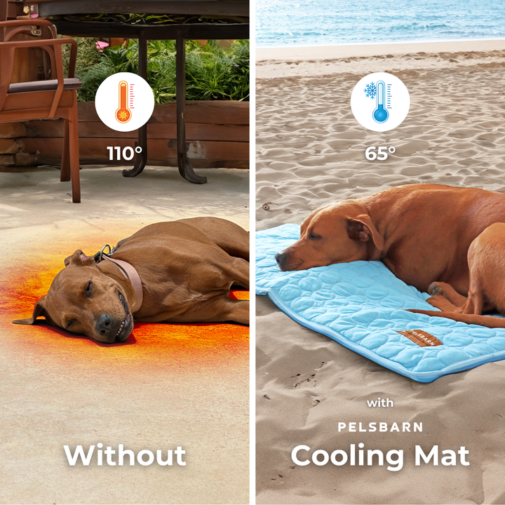 Natural Cooling Mat - Pelsbarn helps shelter dogs!