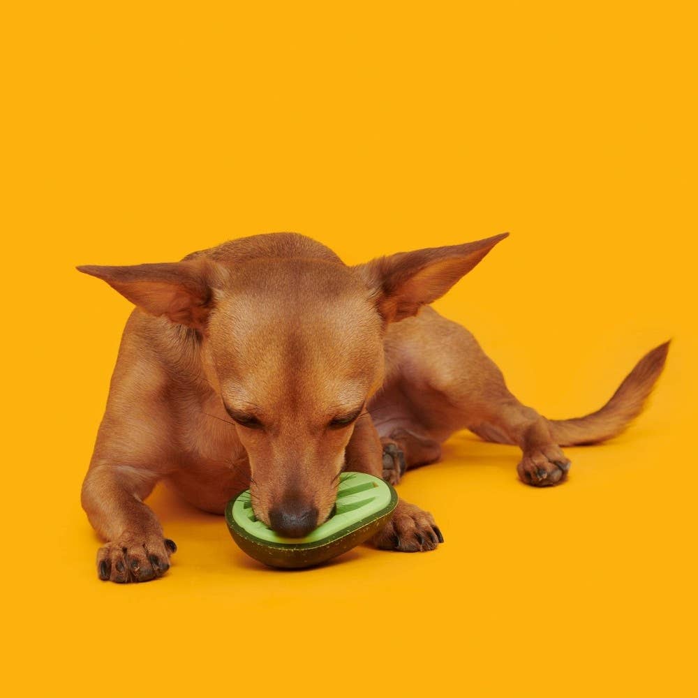 Avocadoggo Super Chewer Dog Toy