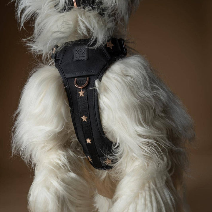The NoMad Adjustable Luxe Harness - Rockstar