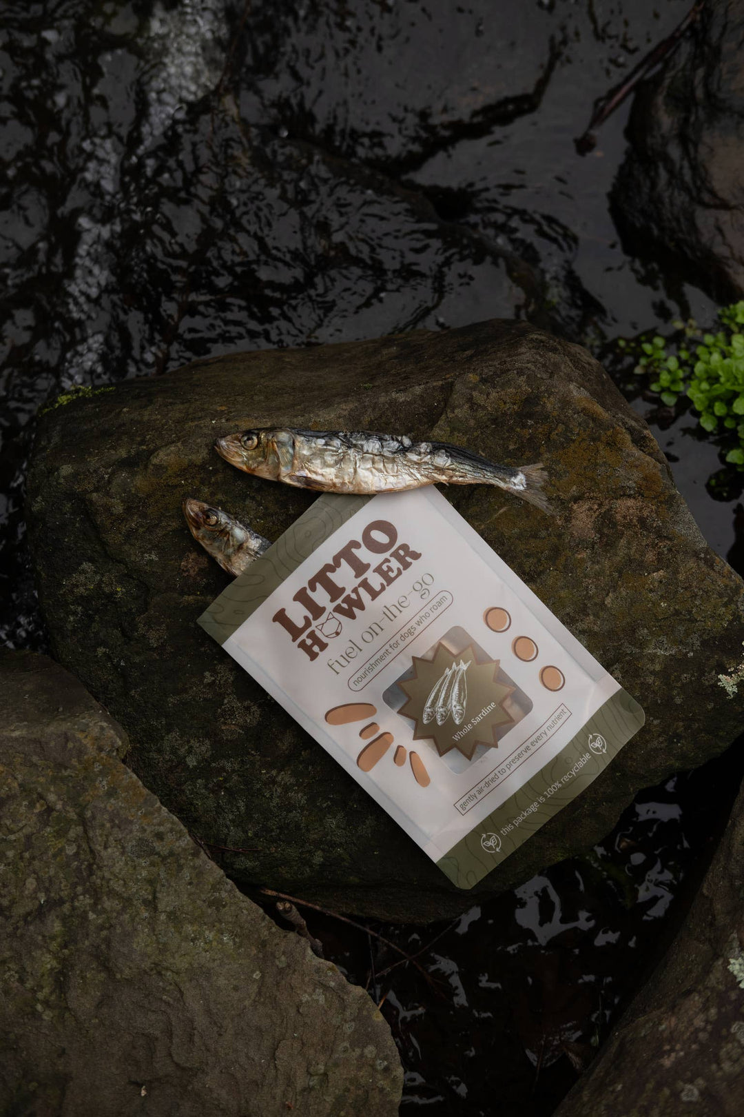 Whole Sardines Dehydrated | 3 oz