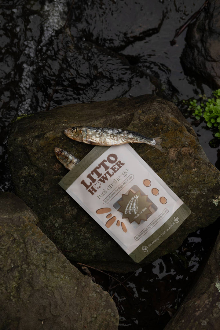 Whole Sardines Dehydrated | 3 oz