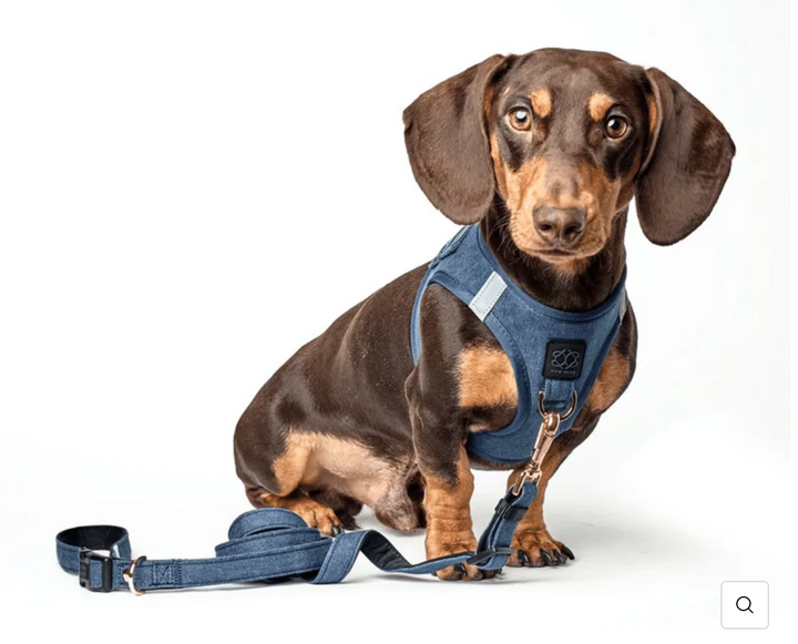 3-in-1 City Dog Leash - Denim