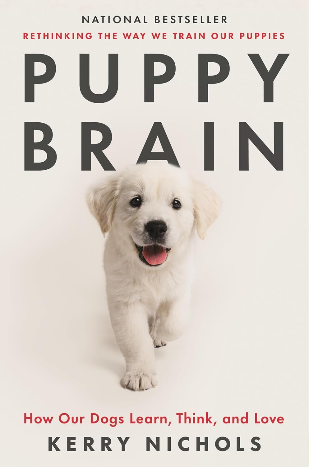 Puppy Brain: How Our Dogs Learn, Think, and Love (Hardcover)