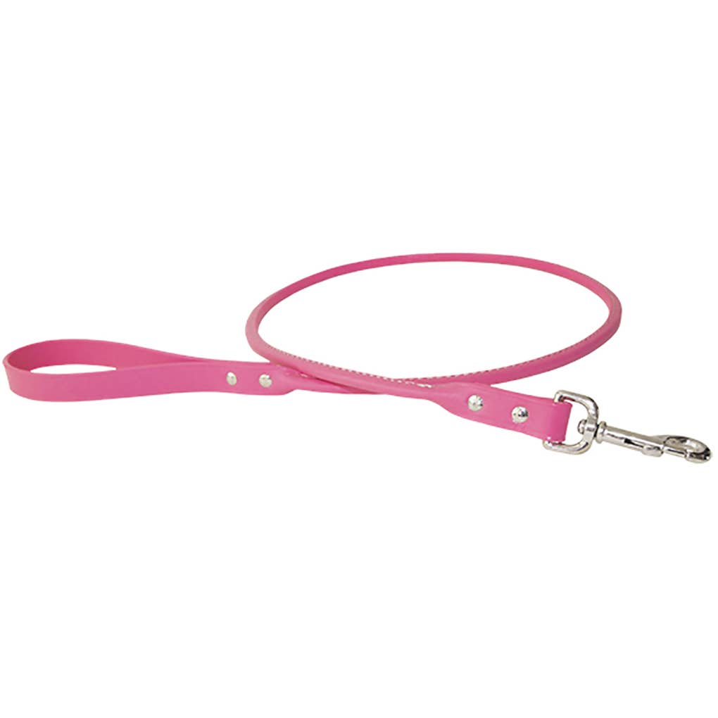 Rolled Leather Leash