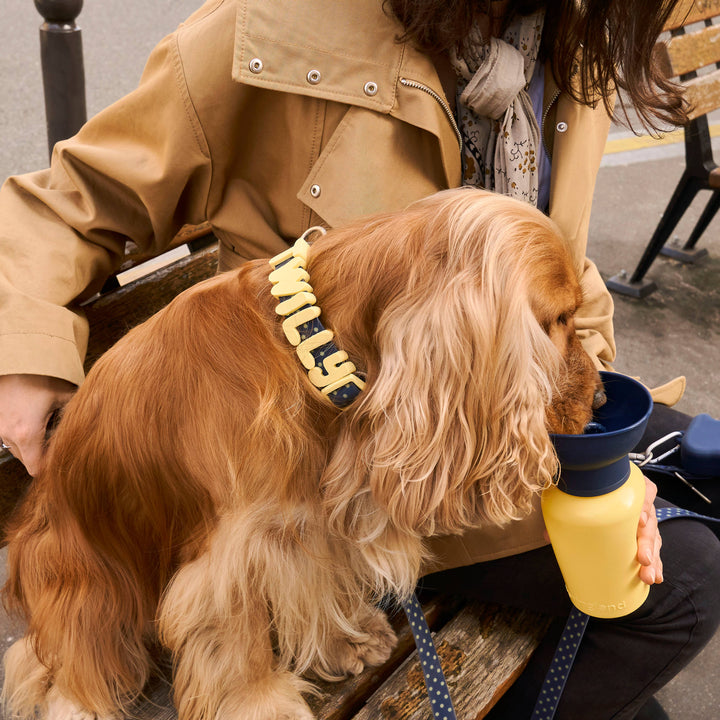 Dog Travel Water Bottle Limited-Edition