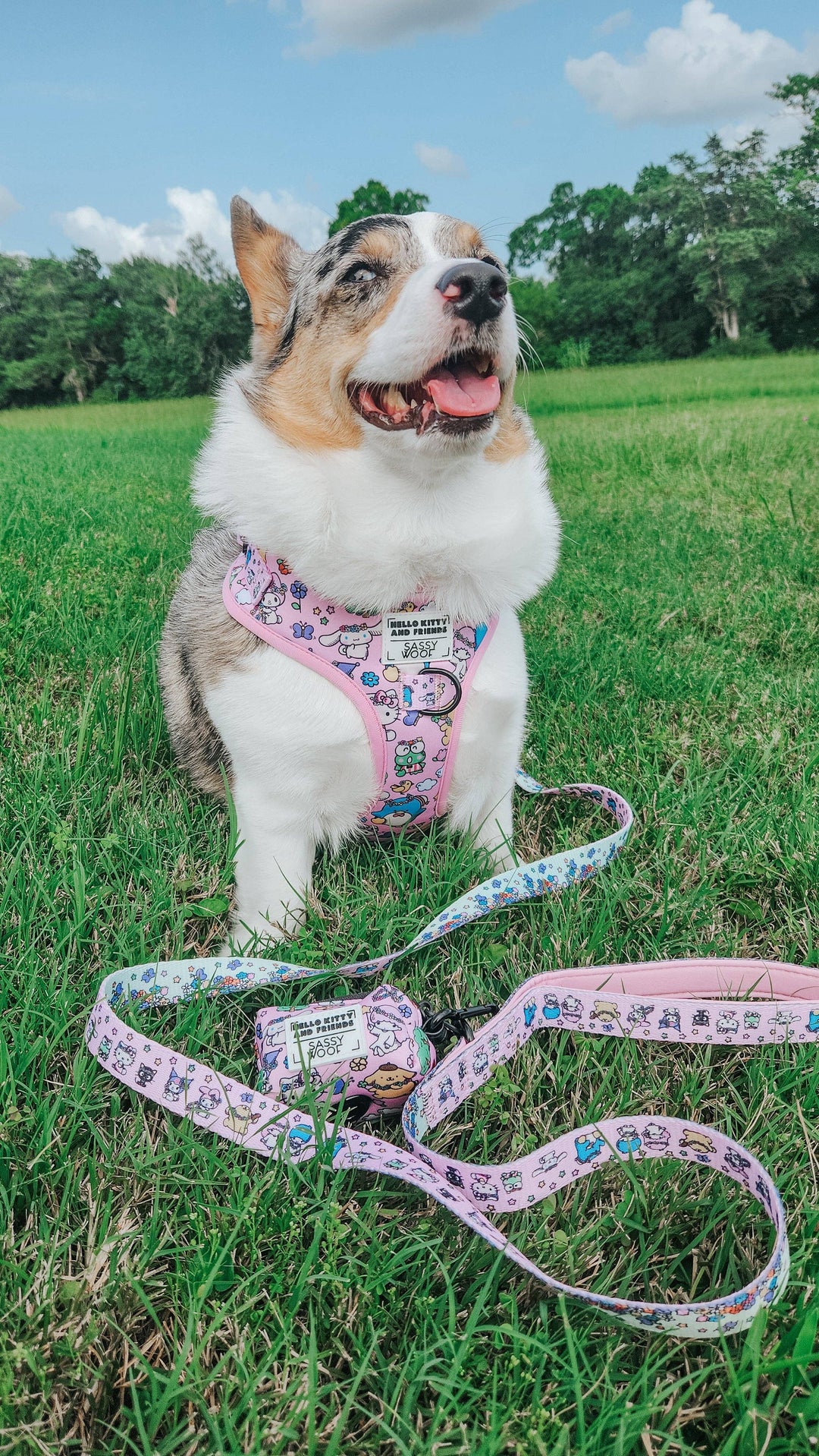 Hello Kitty® &amp; Friends Flower Festival - Adjustable Harness