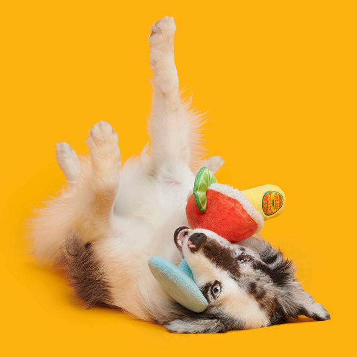 Bulldog Barkarita Plush Dog Toy