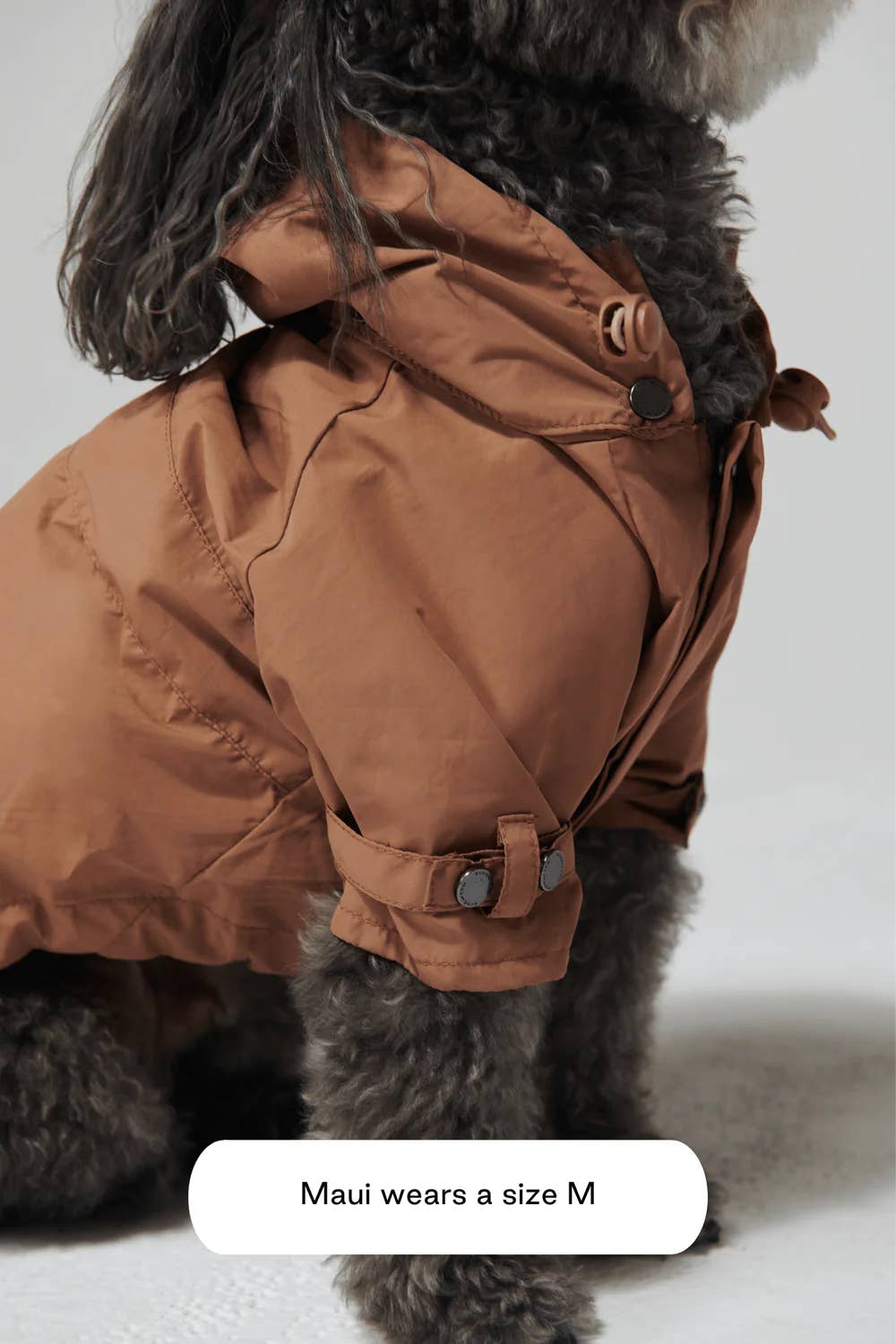 Talon Raincoat for Dogs