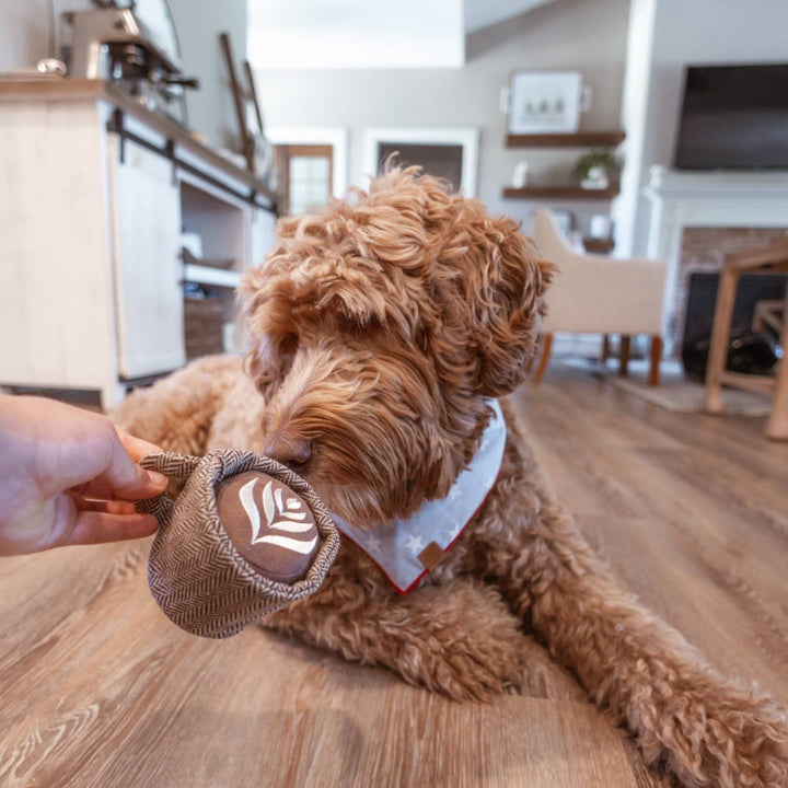Latte Pop Enrichment Snuffle Toy
