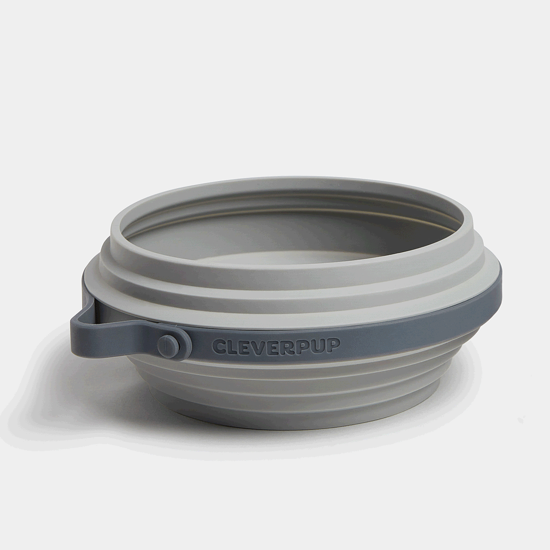 Nomad Collapsible Dog Bowl