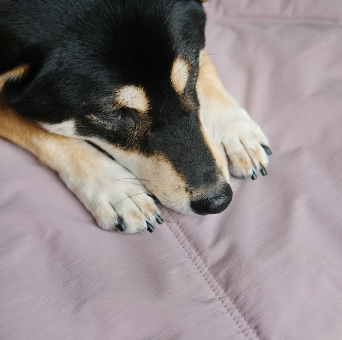 ORII | ultralight pet travel mat DOG MAT